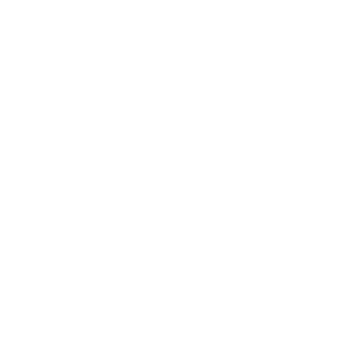 Player Logo
